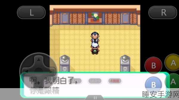 口袋妖怪绿宝石，揭秘太阳岩的独特进化路径与竞技盛宴