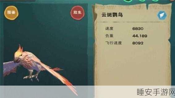 创造与魔法深度攻略,揭秘云斑鹦鸟高效捕捉位置与技巧
