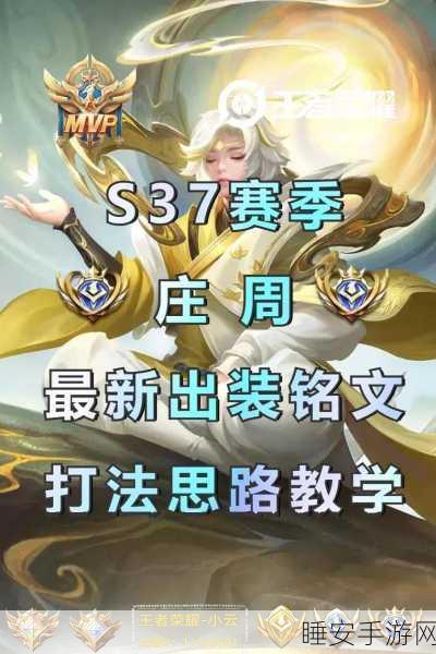 王者荣耀高手进阶,庄周技能全解析与实战应用