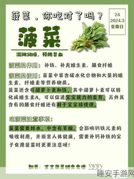菠菜的奇幻烹饪赛,创造与魔法厨房大赛全解析