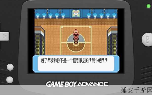 口袋妖怪红宝石大赛，揭秘大树神秘之旅，争夺珍稀宝石！