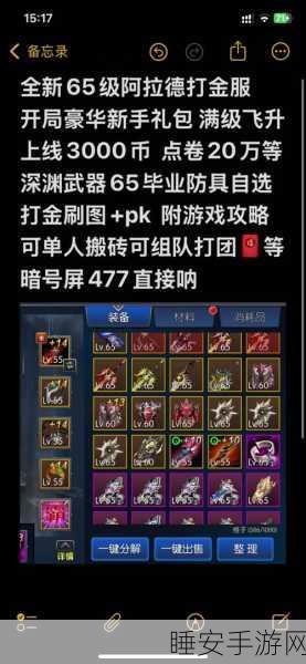 阿拉德之怒，解锁100级神装秘籍，战力飙升不是梦！