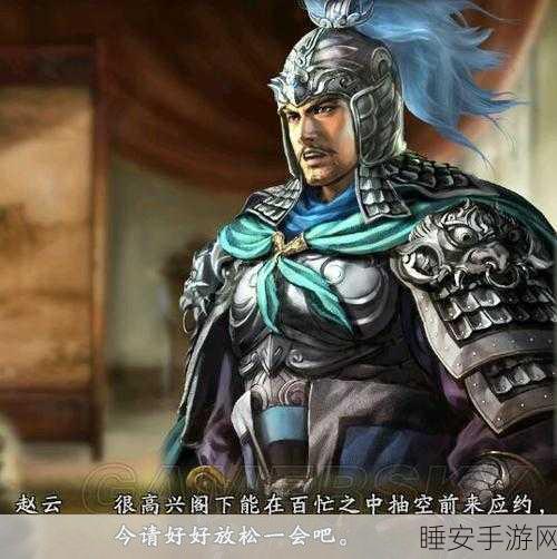 三国志13深度揭秘，蜀国赵云武将风采全览及战斗特色