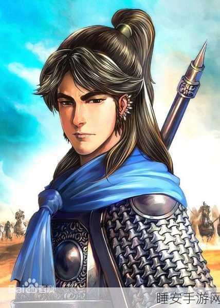三国志13深度揭秘,蜀国赵云武将风采全览及战斗特色