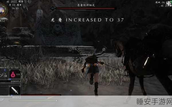 上古卷轴5,天际龙魂收集难题全解析,助你征服天际!