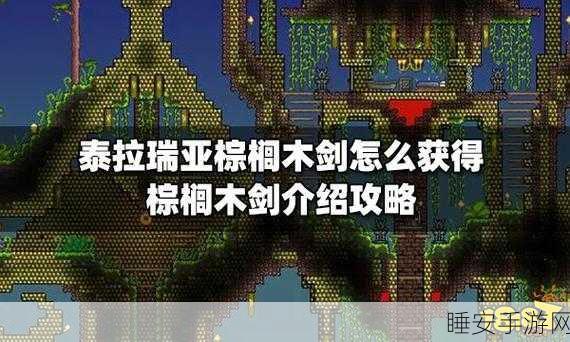 泰拉瑞亚攻略,解锁棕榈木锤制作秘籍,打造专属探险神器