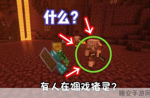 我的世界深度探索，揭秘猪类生物的奇妙世界与趣味挑战