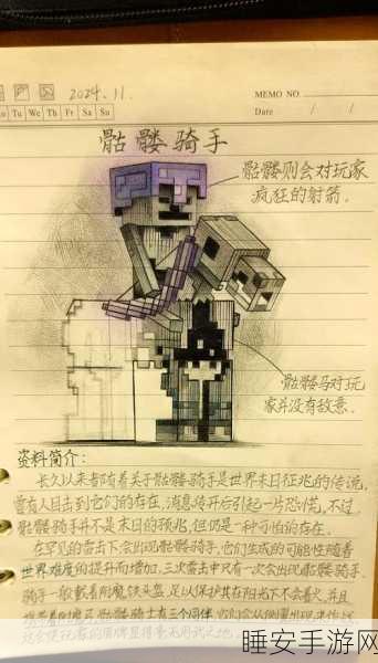 独家揭秘，我的世界骷髅骑士的传奇诞生历程与竞技细节