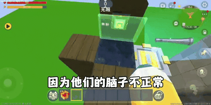 揭秘迷你世界，奇怪肘子的奇妙用途与隐藏玩法