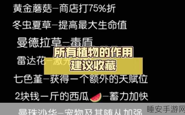 元气骑士新揭秘，冬虫夏草的神效与多样玩法深度探索