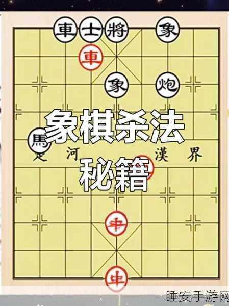 象棋高手养成计划,揭秘顶级赛事制胜策略与技巧