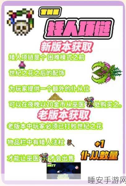 泰拉瑞亚召唤师饰品毕业赛,荣耀巅峰的终极对决