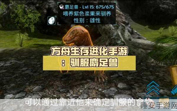 方舟手游攻略，解锁麝足兽骑乘技巧，驰骋史前世界！