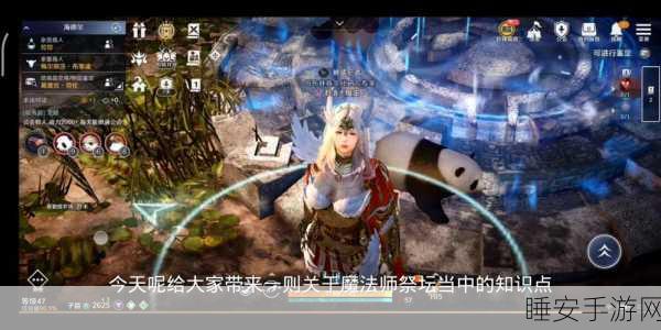 黑色沙漠手游国服盛大登场,3D重塑MMORPG经典,赛事细节全揭秘!