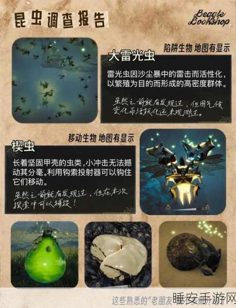 怪物猎人深度探索，揭秘生态分类与怪物学名背后的奥秘
