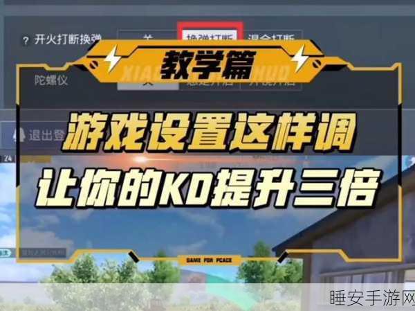 手游战场新策略,和平精英高手秘籍——按键大小调整背后的制胜之道