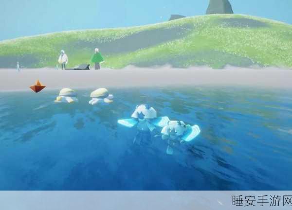 手游攻略,光遇龟壳全攻略,轻松解锁与高效利用秘籍