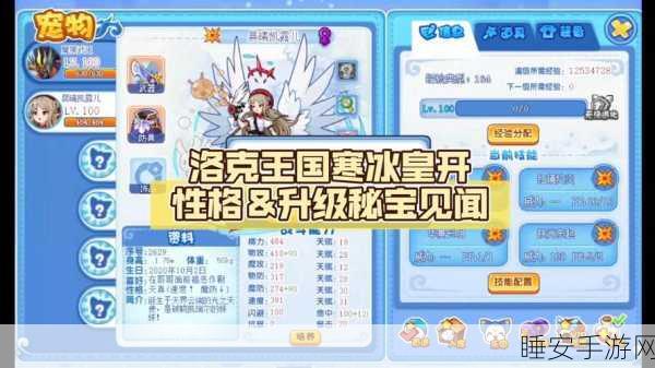 洛克王国极寒考验深度攻略，揭秘高效通关技巧与细节