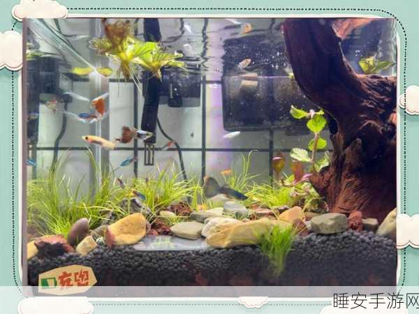 迷你世界新玩法爆料,鱼儿养成大赛,赢取独家水族箱!