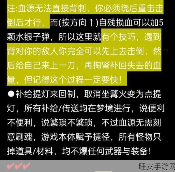 血源深度攻略，猎人首席勋章与勇敢猎人印记的终极运用技巧
