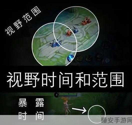 王者荣耀草丛战术揭秘，为何你总是被敌方洞察？