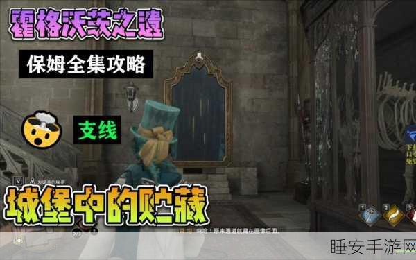 霍格沃茨之遗，城堡贮藏任务深度攻略，解锁隐藏宝藏与技巧揭秘