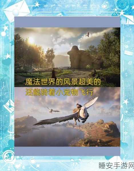 霍格沃茨之遗,城堡贮藏任务深度攻略,解锁隐藏宝藏与技巧揭秘