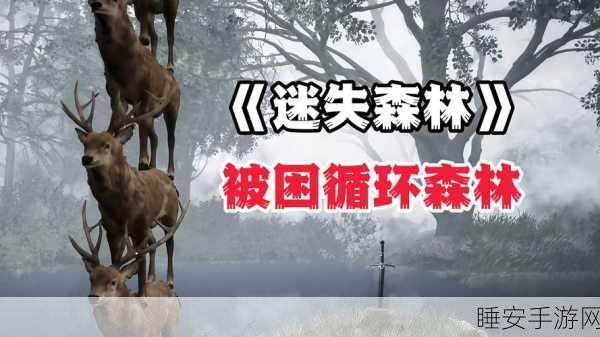 猎魂觉醒，迷失森林探险指南，揭秘隐藏秘境入口