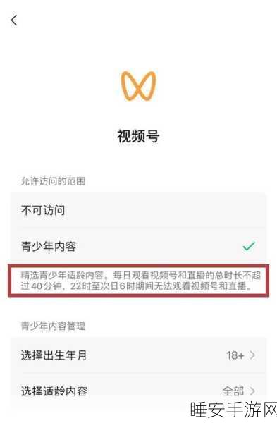 王者荣耀青少年模式揭秘,为何16岁玩家仅玩一小时就被强制下线?