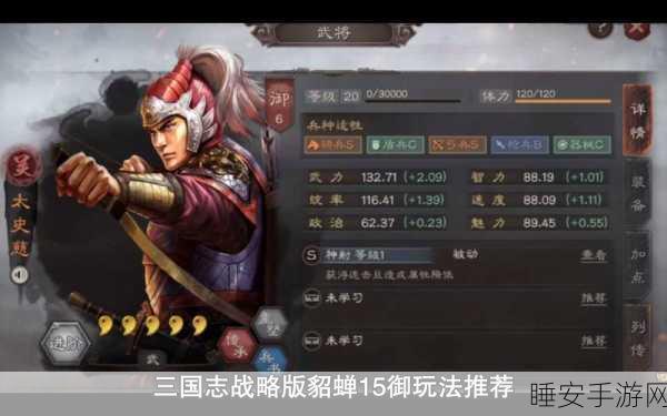 三国志战略版，华佗与貂蝉的绝妙搭配策略揭秘