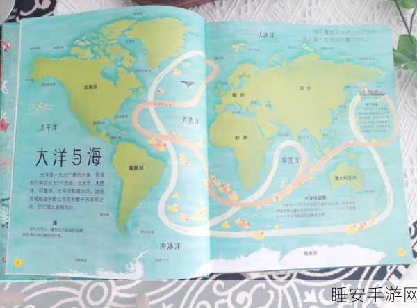 海洋之心宝藏揭秘,神秘获取途径与强大功能全解析
