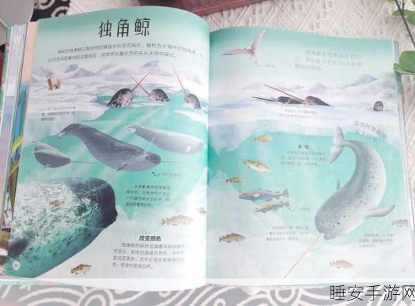 海洋之心宝藏揭秘,神秘获取途径与强大功能全解析