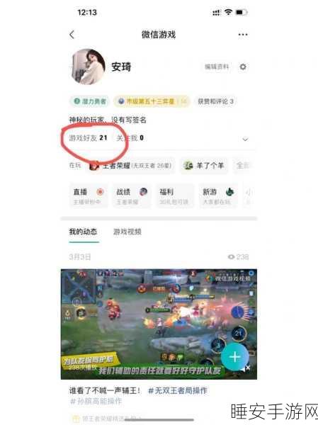 王者荣耀手游，轻松掌握删除好友技巧，优化游戏社交圈