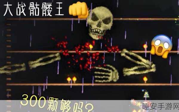 泰拉瑞亚深度探险攻略，揭秘生锈骷髅宝藏与高效刷怪地点