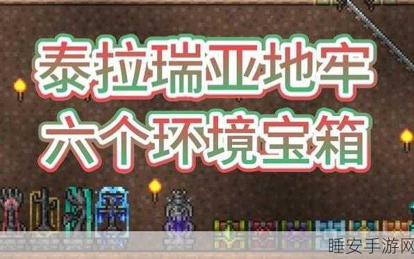 泰拉瑞亚深度探险攻略,揭秘生锈骷髅宝藏与高效刷怪地点