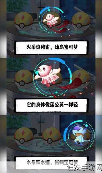 口袋妖怪新篇,探索察觉之力大赛,揭秘隐藏奥秘