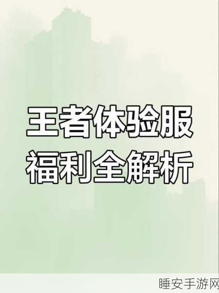 王者荣耀体验服抢先试玩，独家揭秘账号获取与试玩体验