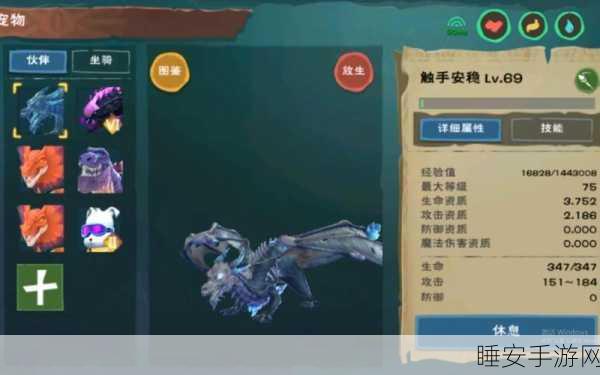 手游新纪元,揭秘创造与魔法骨龙战宠顶级资质,解锁战斗新境界