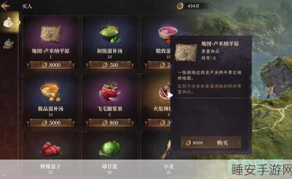 揭秘龙息神寂交易系统,安全区速成攻略大公开