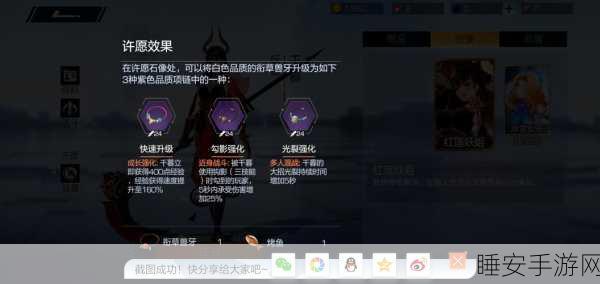 风云岛行动深度解析，菠萝甲的神秘功效与实战应用