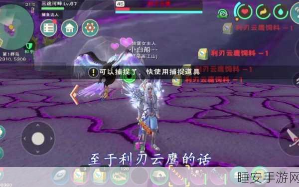 手游新宠创造与魔法深度攻略,云鹰与利刃云鹰资质技能全解析,独家饲料配方揭秘