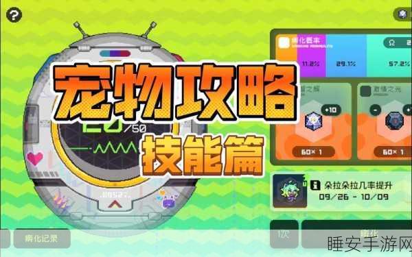 火炬之光移动版，揭秘橙色宠物高效抽取策略