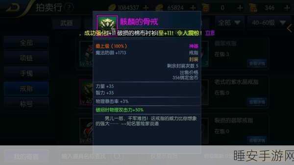 阿拉德之怒,顶尖首饰排行揭秘与高效获取攻略