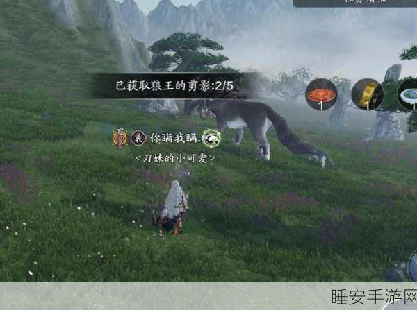 探秘天涯明月刀，解锁奇峰成就，征服隐藏坐标
