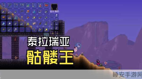 泰拉瑞亚探险指南,揭秘骷髅王掉落宝藏全解析
