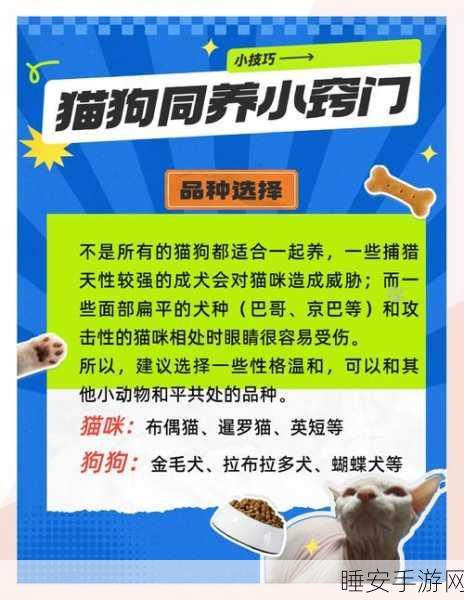 不良人3探索指南,揭秘万物生灵猫狗隐藏位置与趣味互动