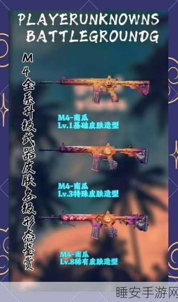 绝地求生G币升级全解析,解锁高级装备与独特体验