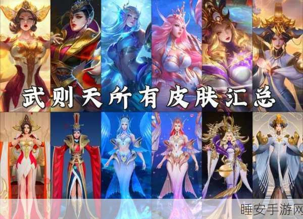 王者荣耀皮肤共享全攻略，解锁条件与实战细节揭秘
