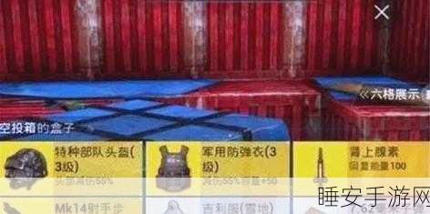 和平精英空投箱终极揭秘，解锁战场上的神秘武器库