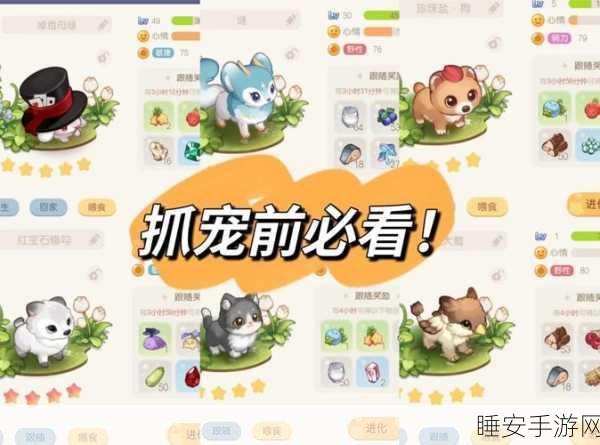 奥比岛手游,宠物捕捉全攻略,揭秘高效获取珍稀宠物的秘诀